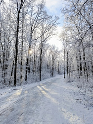 Similar image 22056199