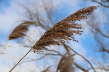 Similar image 22056201