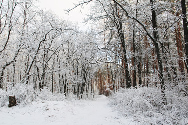 Similar image 22056203