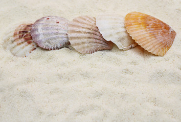 Similar image 22056209