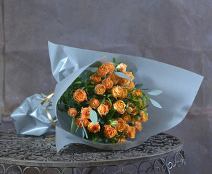 Similar image 22056221