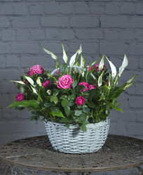 Similar image 22056364