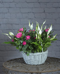 Similar image 22056366