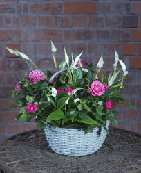 Similar image 22056370