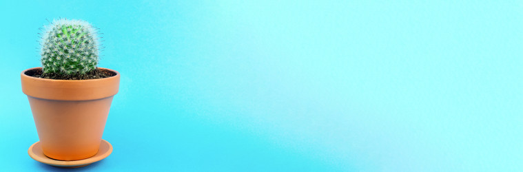 Similar image 22058233