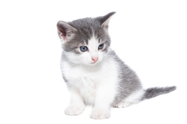 Similar image 22058241