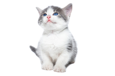 Similar image 22058245