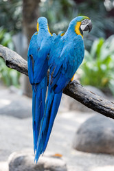 Similar image 22056232