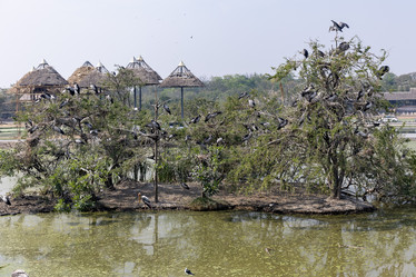 Similar image 22056234