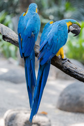 Similar image 22056235