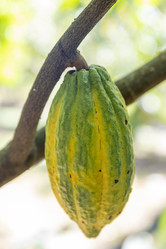 Similar image 22056240