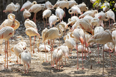 Similar image 22056241