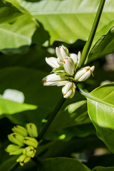 Similar image 22056244