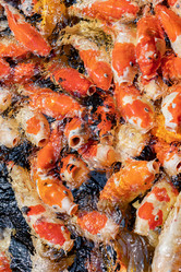 Similar image 22056245