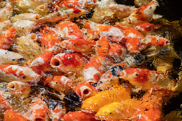 Similar image 22056246