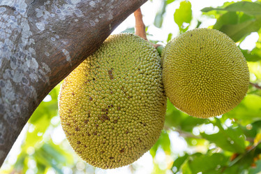 Similar image 22056247