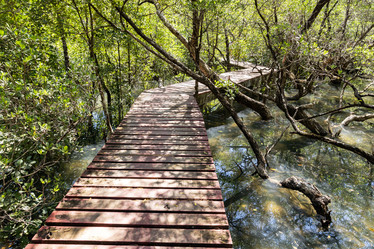 Similar image 22056250