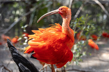 Similar image 22056251