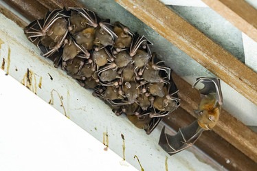 Similar image 22056252