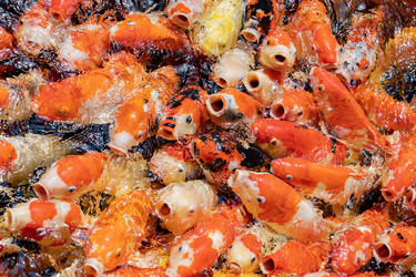 Similar image 22056253