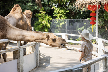 Similar image 22056255