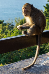 Similar image 22056256