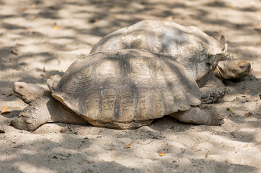 Similar image 22056260