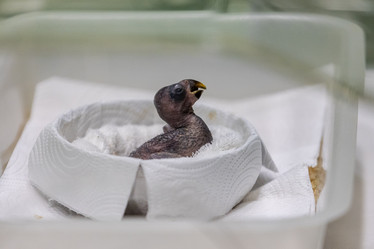 Similar image 22056264