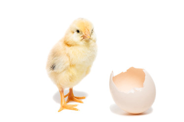 Similar image 22058258