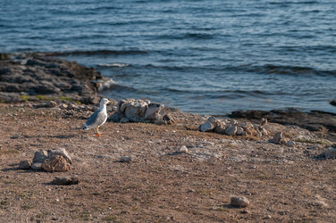 Similar image 22058292