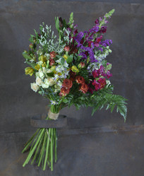 Similar image 22056285