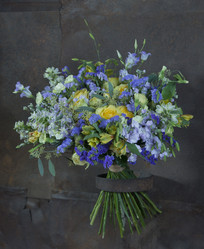 Similar image 22056435