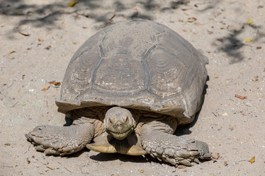 Similar image 22056289