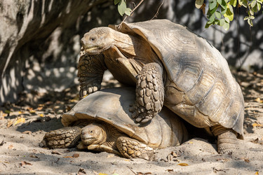 Similar image 22056290