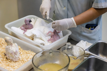 Similar image 22056291