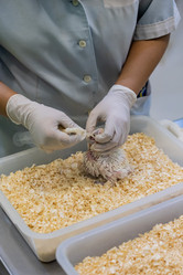 Similar image 22056292