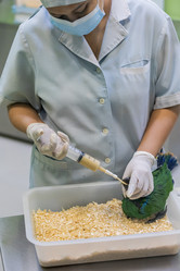 Similar image 22056293