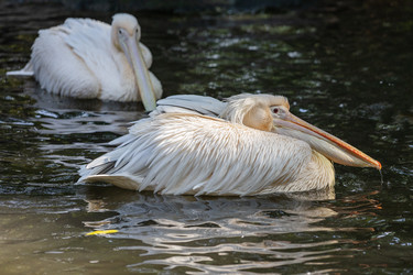 Similar image 22056294