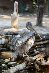 Similar image 22056295