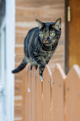 Similar image 22056303