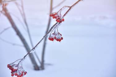 Similar image 22057171