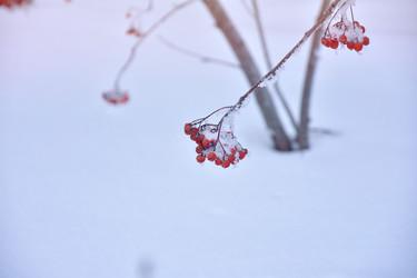 Similar image 22057172