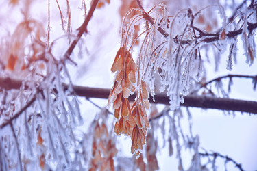 Similar image 22057173