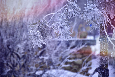 Similar image 22057174