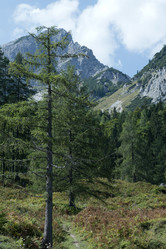 Similar image 22057754