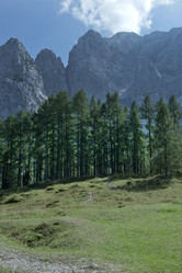 Similar image 22057755