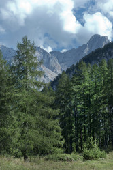 Similar image 22057756