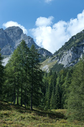 Similar image 22057757