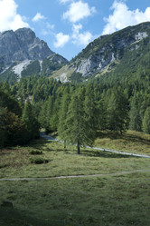 Similar image 22057762