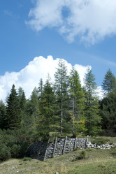 Similar image 22057767